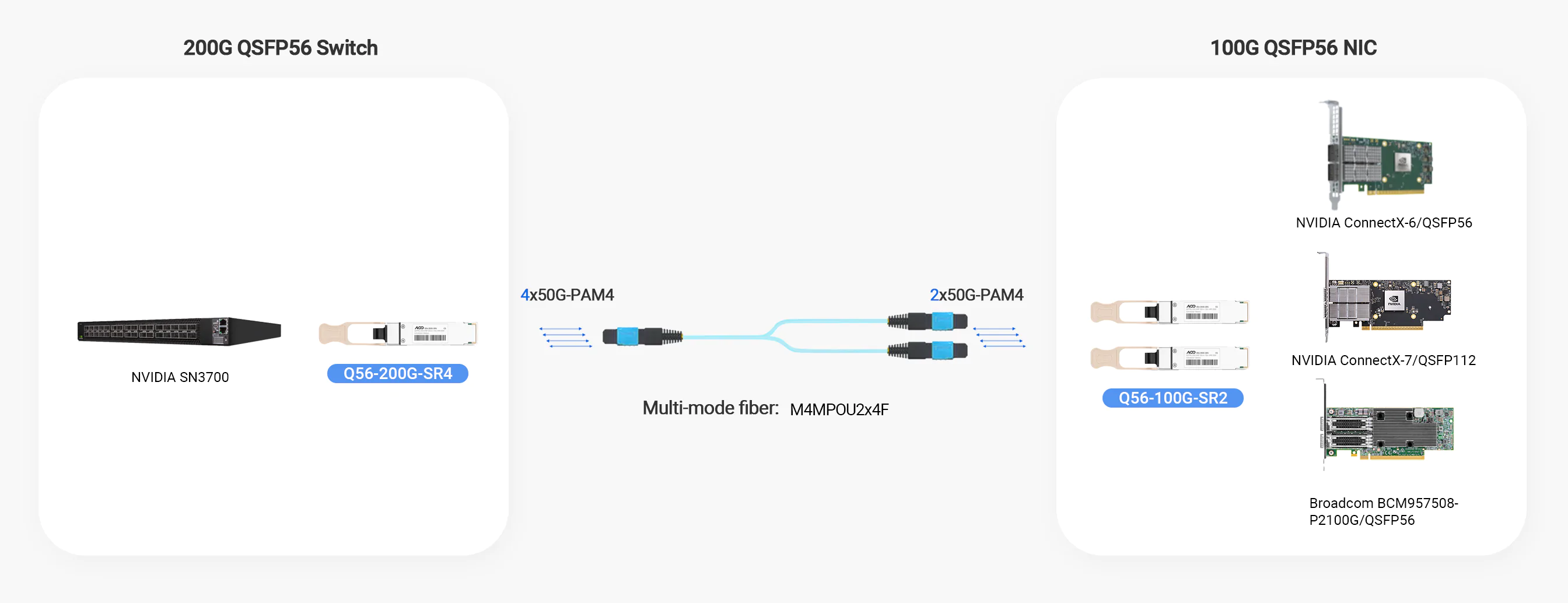 MSN3700-VS2FC,