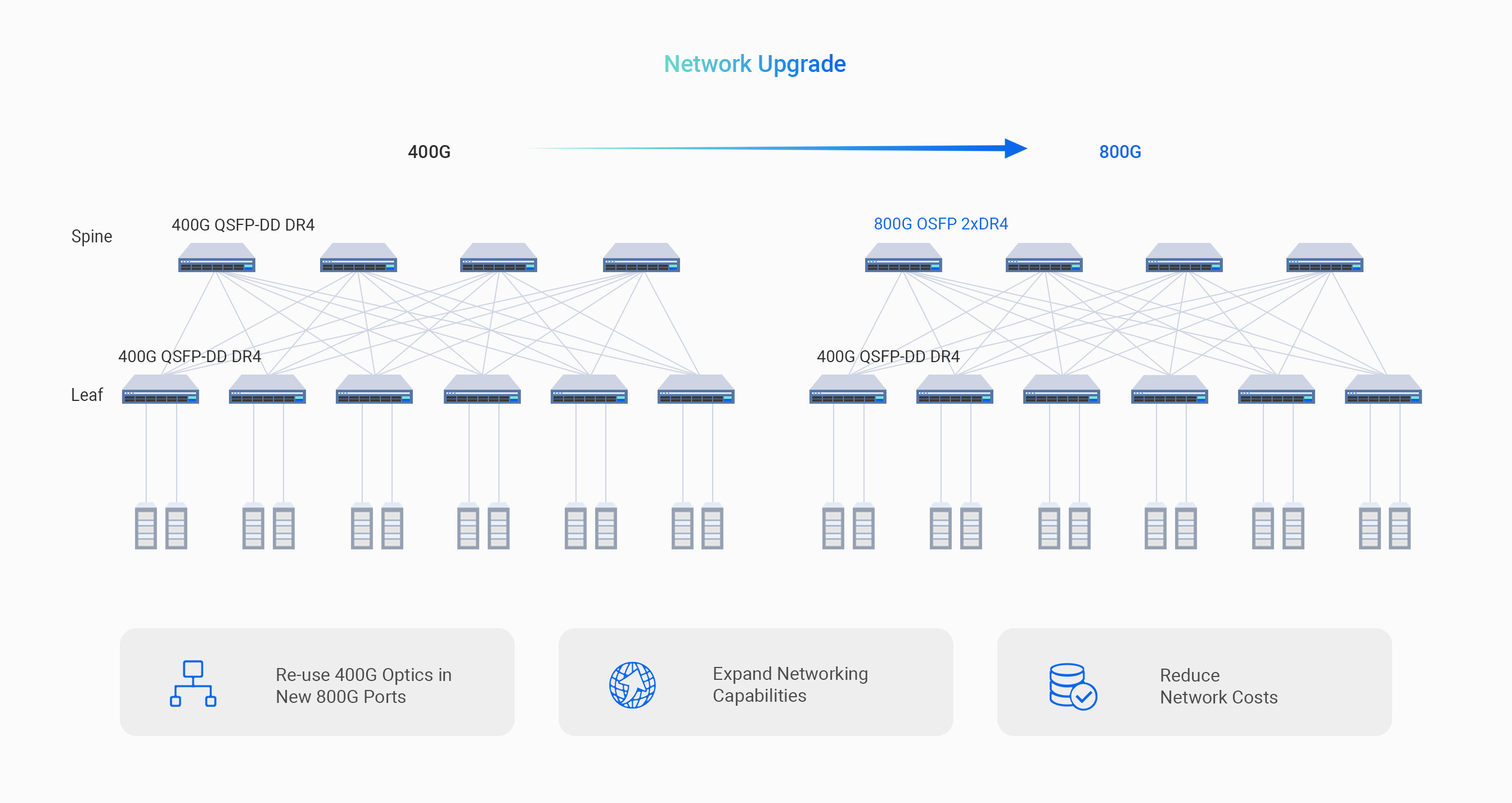 High Performance Meets Flexible Scenarios for Streamlined Network Transition