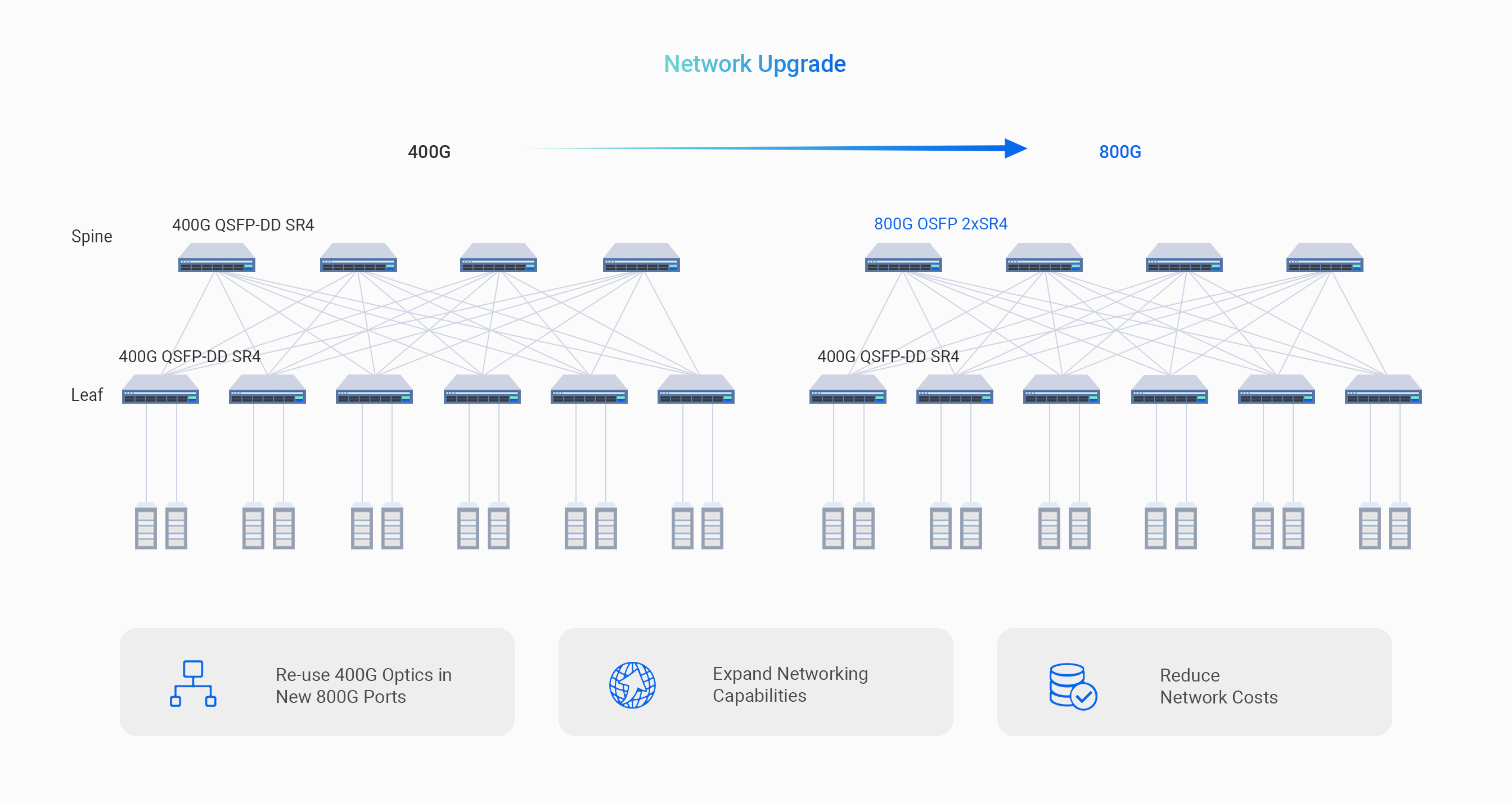 High Performance Meets Flexible Scenarios for Streamlined Network Transition