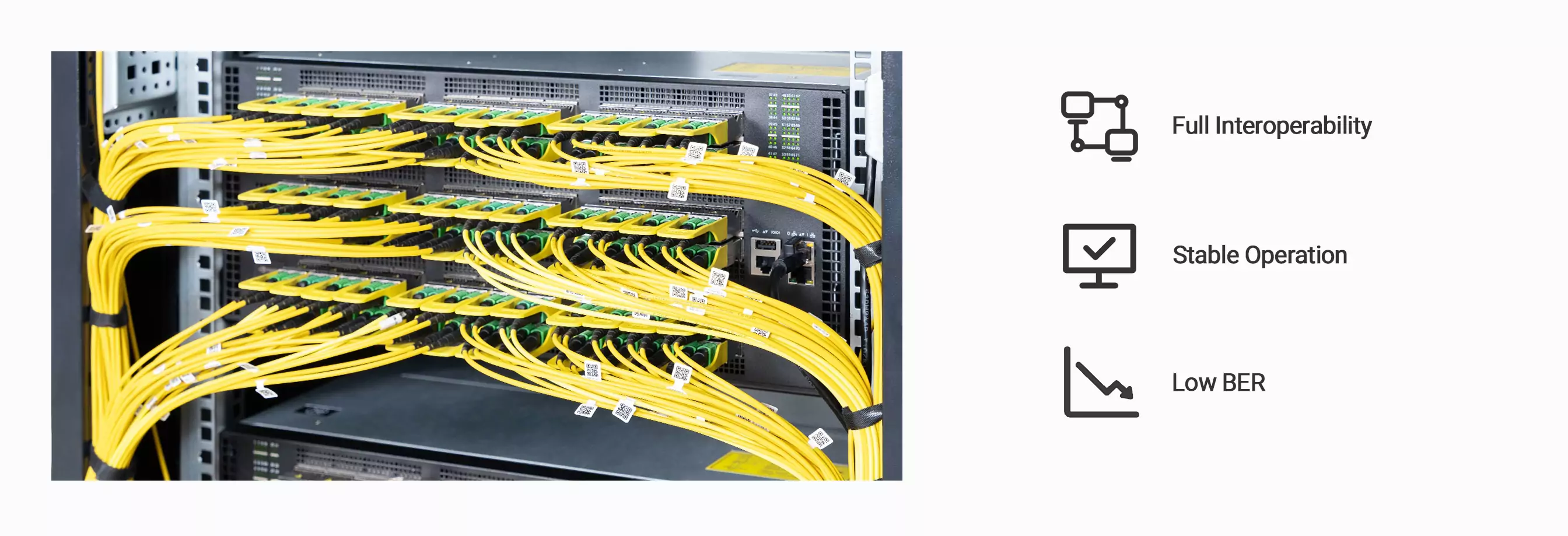 Proven Stability & Reliability with Real Validation on New-Gen XDR Switches