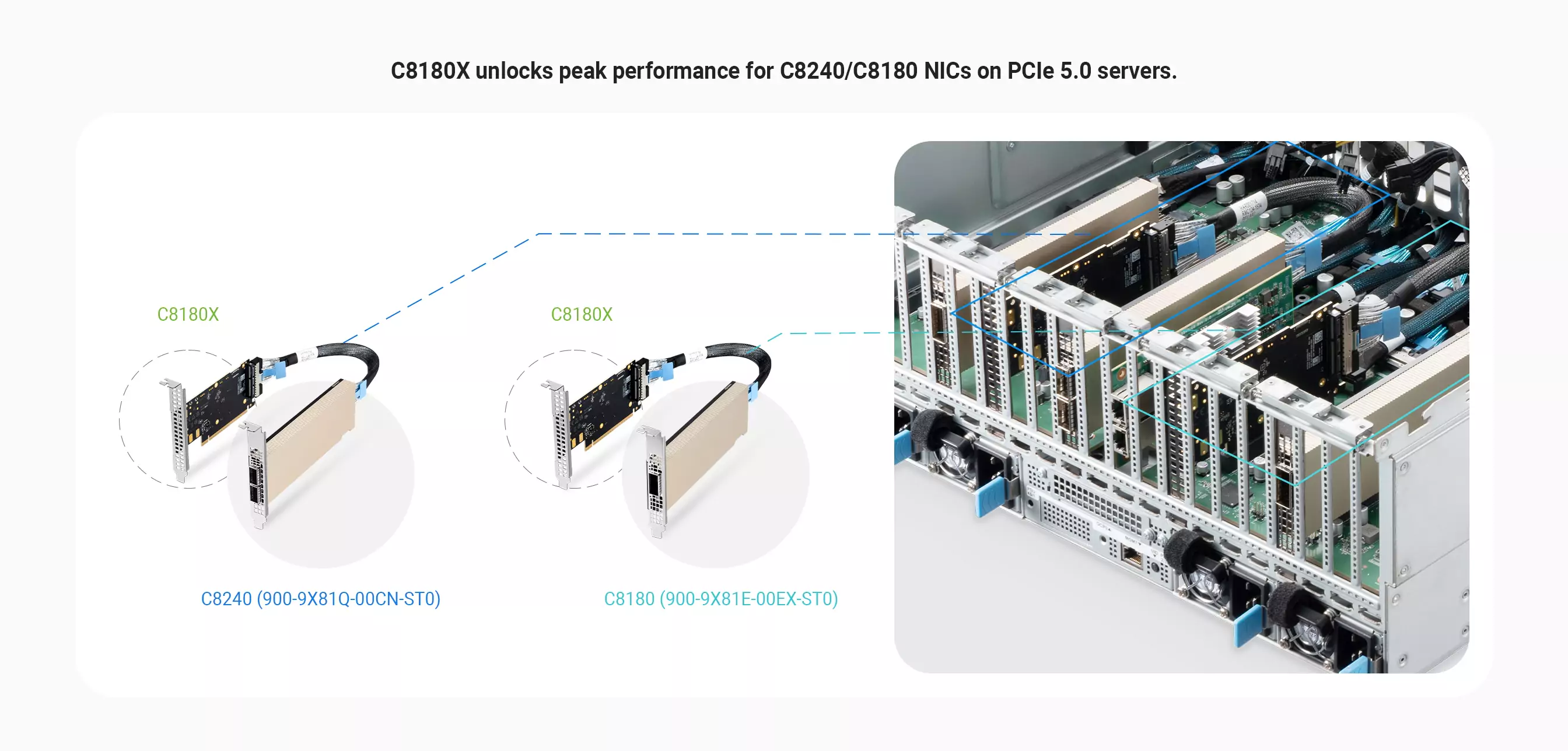 C8180X: The Perfect Match for ConnectX-8 NICs
