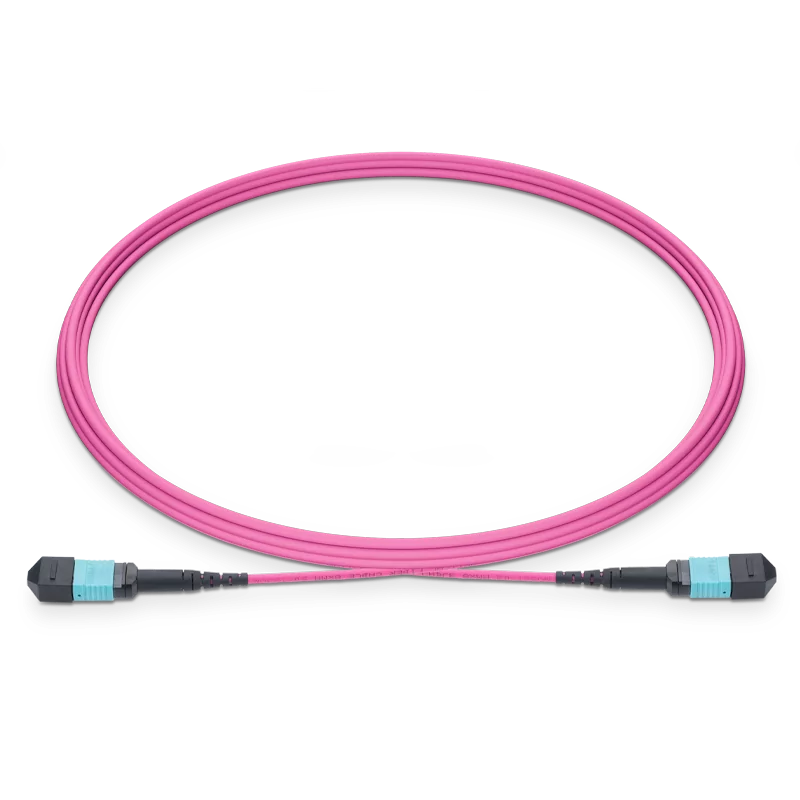 OM4 1m (3ft) MPO to MPO Female 12 Fibers Type B Elite Trunk Cable