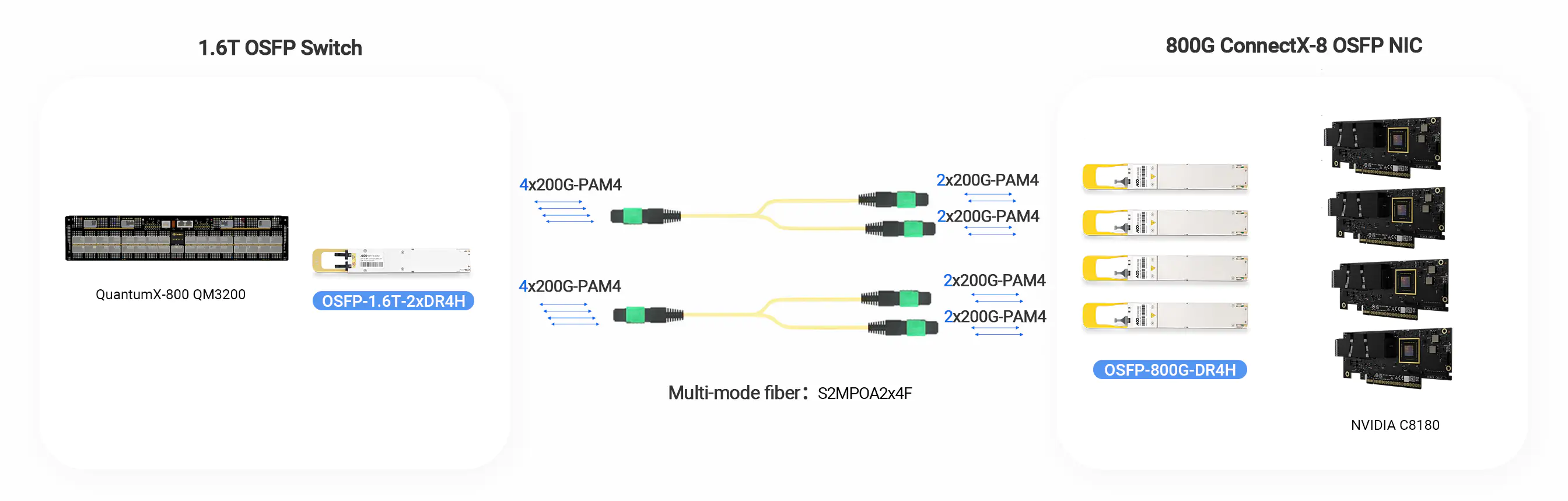 NADDOD IB XDR 800G OSFP DR4 is connected with NVIDIA 800G ConnectX-8 NICs C8180 by S2MPOA2x4F