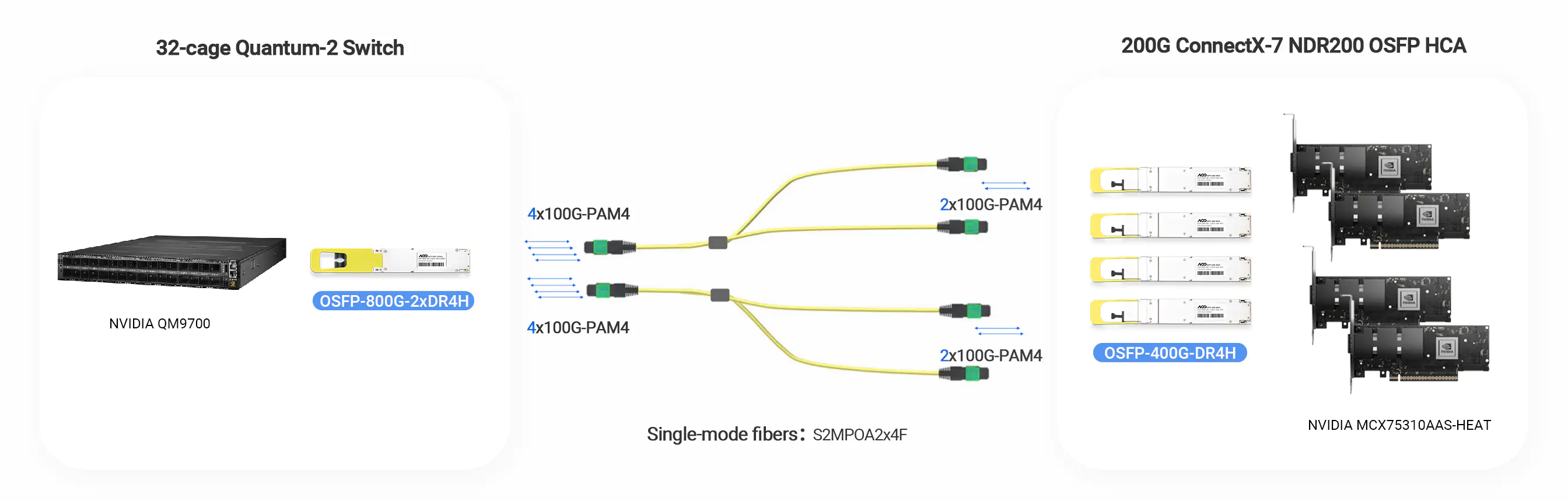 S2MPOA2x4F is the fiber cable which is connected with IB 800G OSFP 2×DR4/DR8 and 400G OSFP DR4.