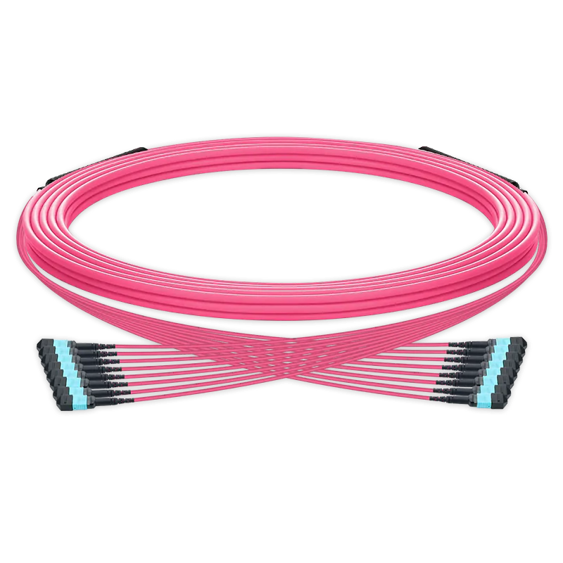 15m (49ft) Pre-terminated MPO trunk cable, 96 Fibers, 8 x MPO-12 UPC (Male) to 8 x MPO-12 UPC (Male) Multimode (OM4) Type B