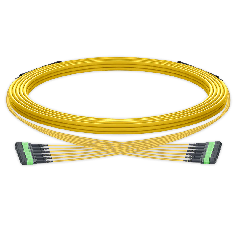 20m (66ft) Pre-terminated MPO trunk cable, 72 Fibers, 6 x MPO-12 APC (Male) to 6 x MPO-12 APC (Male) Single Mode (OS2) Type B