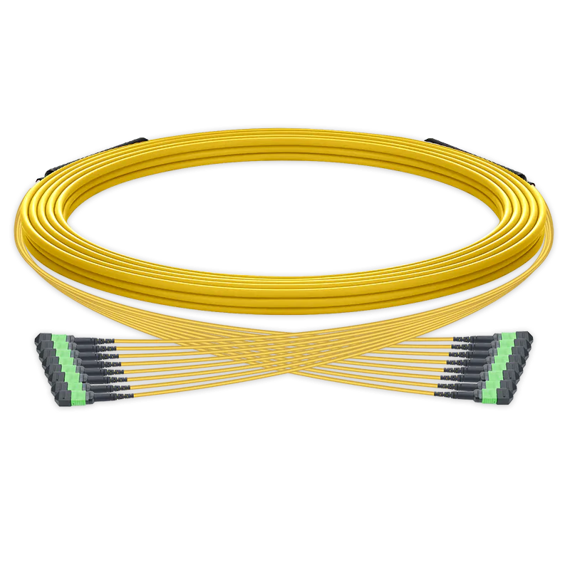 50m (164ft) Pre-terminated MPO trunk cable, 96 Fibers, 8 x MPO-12 APC (Male) to 8 x MPO-12 APC (Male) Single Mode (OS2) Type B